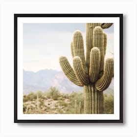 Cactus Desert View Square Art Print