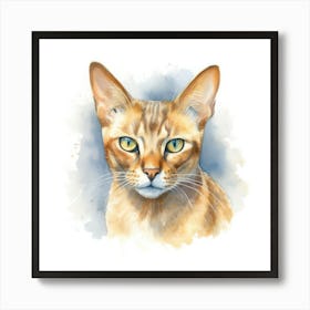 Zambian Cat Portrait Art Print