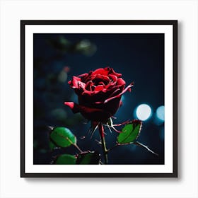 Red Rose In The Dark Art Print