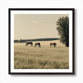 Horses In A Field 1 Art Print