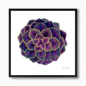 Purple Succulent 1 Poster