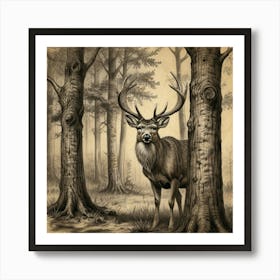 Deer In The Woods 13 Art Print