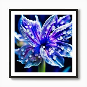 Blue Flower With Water Droplets Art Print