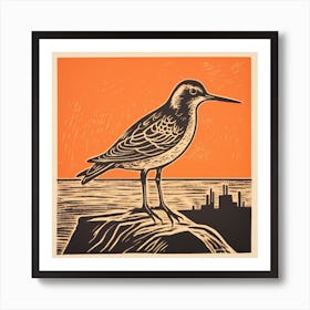 Retro Bird Lithograph Dunlin 1 Art Print