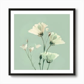 White Flowers Art Print