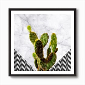 Cactus on White Marble and Zigzag Wall Art Print