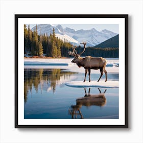 Nature Caribou Art Print