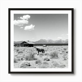 Horses In The Desert Art Print