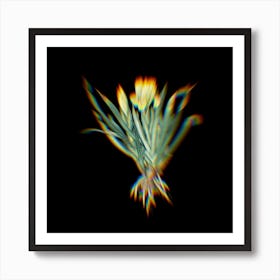 Prism Shift Crimean Iris Botanical Illustration on Black n.0375 Art Print