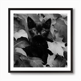 Black and White Black Kitten In Leaves 3 Art Print