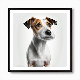 Jack Russell Terrier 1 Art Print