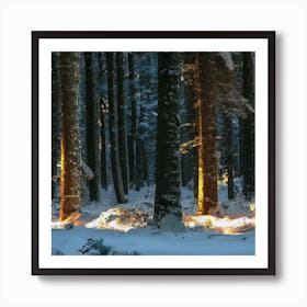 Christmas Lights In The Forest Art Print