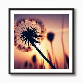 Sunset Dandelion 5 Art Print