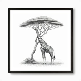 Line Art giraffe 2 Art Print