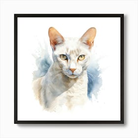 Burmilla Shorthair Cat Portrait 3 Affiche