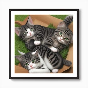 Three Kittens In A Box Art Print