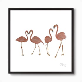 Flamingos. 1 Art Print