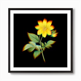 Prism Shift Dahlia Simplex Botanical Illustration on Black n.0141 Art Print