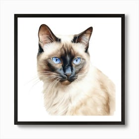 Classic Siamese Cat Portrait 1 Art Print