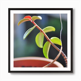 Realistic Plant Art Print