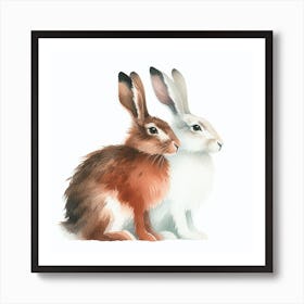 Hares Art Print