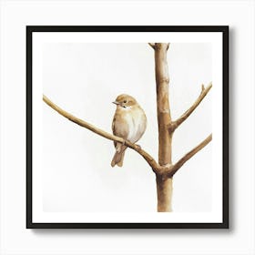 Bird On A Branch Art Print