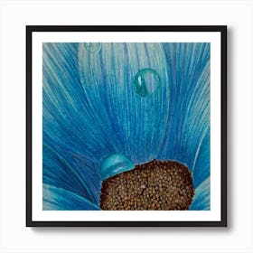 Blue Gerbera 2 Art Print