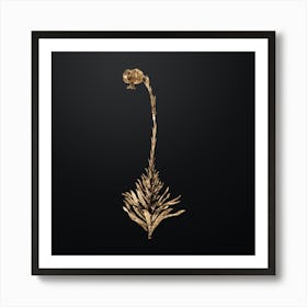 Gold Botanical Scarlet Martagon Lily on Wrought Iron Black n.4480 Art Print