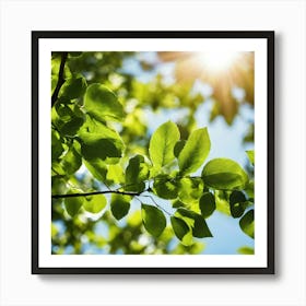 Sun Shining Through Green Leaves 1 Art Print