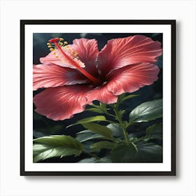 Hibiscus Flower 1 Art Print