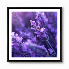 Lavender Flowers 13 Art Print