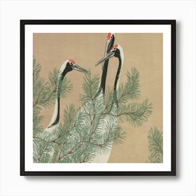 Cranes In A Pine Tree Art Print