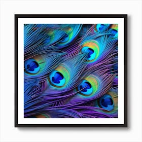 Peacock Feathers 22 Art Print