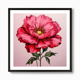 Pink Peony 1 Art Print