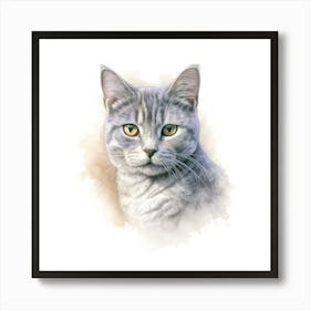 Australian Mist Shorthair Cat Portrait Art Print