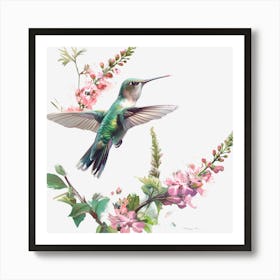 Hummingbird 2 Art Print