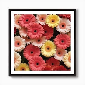 Gerberas Art Print