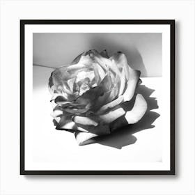 Black and White Rose Art Print
