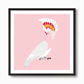 Mayor Mitchell Cockatoo Art Print