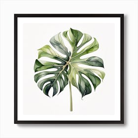 Large Monstera leaf 8 Art Print