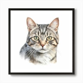 American Shorthair Cat Portrait 3 Art Print