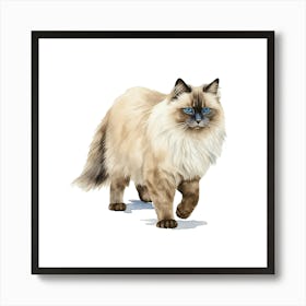 Siamese Cat 1 Art Print