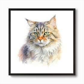 Highlander Cat Portrait 1 Poster