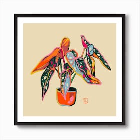 Colourful Of Begonia Square Art Print