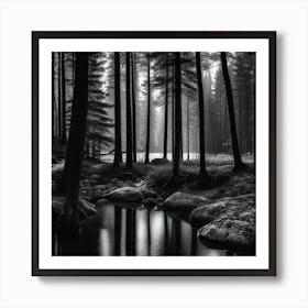 Forest In Black And White 1 Art Print