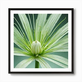 Frame Created From Fennel On Edges And Nothing In Middle Miki Asai Macro Photography Close Up Hyp (3) Art Print