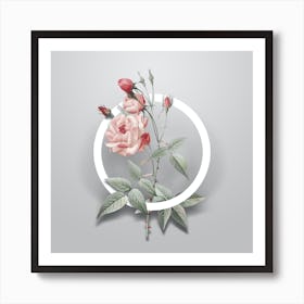 Vintage Common Rose of India Minimalist Flower Geometric Circle on Soft Gray n.0164 Art Print