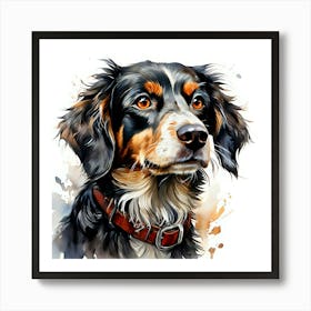 Bernese Mountain Dog 6 Art Print