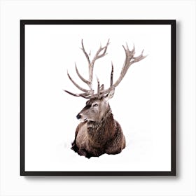 Stag In Snow 2 Square Art Print