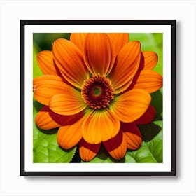 Orange Dahlia Flower Art Print